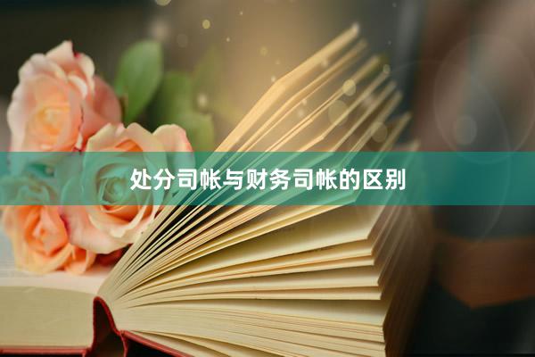 处分司帐与财务司帐的区别
