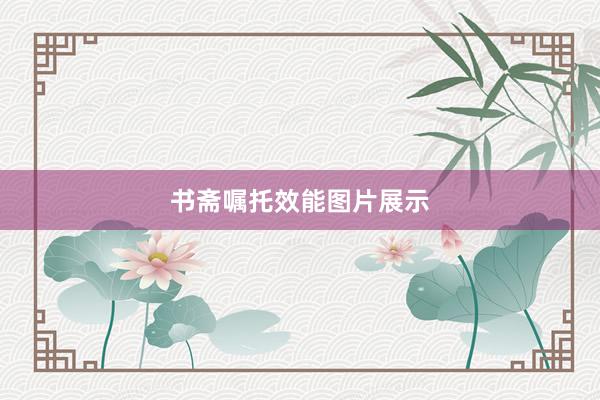 书斋嘱托效能图片展示