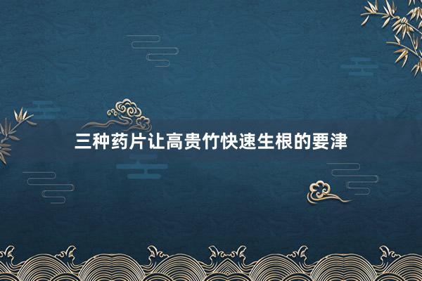 三种药片让高贵竹快速生根的要津